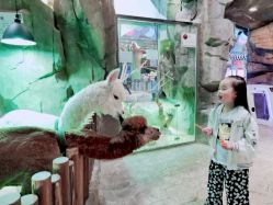 -宝燕乐园(闵行旗舰店)