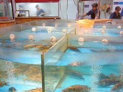 -耕渔小院·湖南鱼鲜(望城店)
