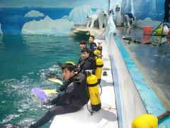 -秦皇岛乐岛海洋王国