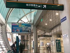 -龙阳路磁悬浮列车总站-停车场