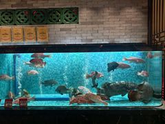-抱德·潮汕味(琶洲店原惠城鱼仔)