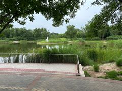 -永定河休闲森林公园