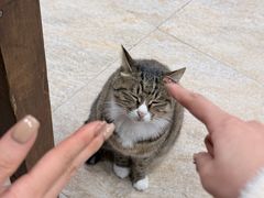 -九寨沟石锅鱼(沣峪口店)