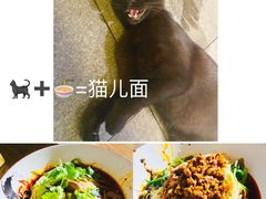 -老地方猫儿面(磁器口店)