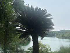 -华凌山庄·隐湖栖