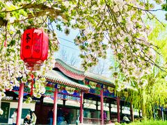 -隆兴寺