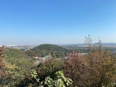 -上海佘山国家森林公园西佘山园