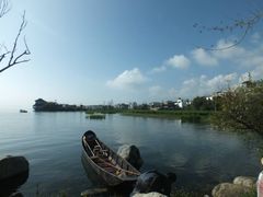 -才村湿地公园