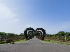 -迪茵湖田家舍生态农场