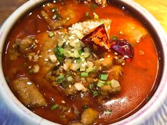 -锦尚阁烤鱼(望京新荟城店)