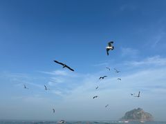 -棒棰岛宾馆景区