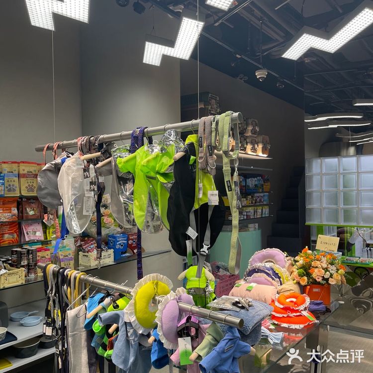 电力宠物公司