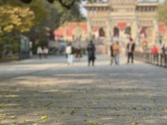 -北陵公园