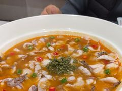 -青花椒花椒鱼(合生汇店)