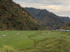-狮子沟牧场