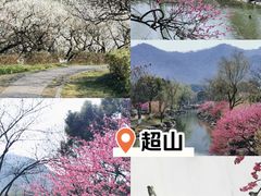 -杭州植物园