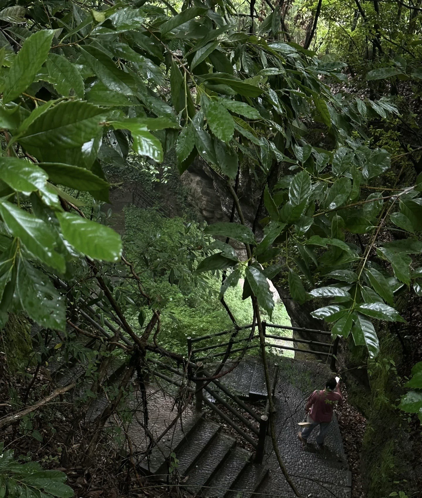 开车25分钟的小众景区