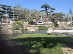 -罗红摄影艺术馆