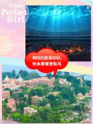 -麦粒鸟亲子游