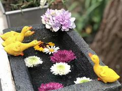 -风车面包