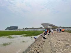 -南汇嘴观海公园