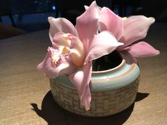 -悦轩中餐厅·高空江景·杭州柏悦酒店