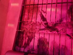 -骑士KTV(红谷滩万达店)