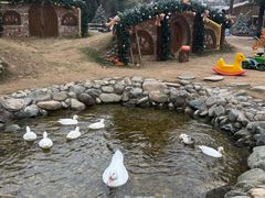 -HERRE·FARM 赫尔露营农场·团建聚会包场