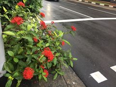 -新加坡水上探险乐园