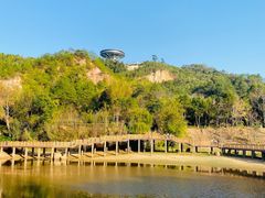 -神光山国家森林公园