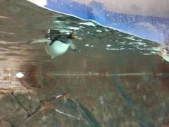 -石林冰雪海洋世界