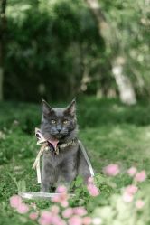 -ZOO KIDS象集摄影工作室(西城公馆店)