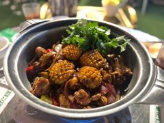-禄婶鸡煲·打边炉