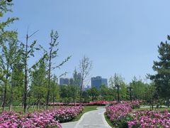 -西海子公园