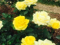 -人民公园(罗湖区)