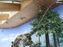 -延庆地质公园博物馆