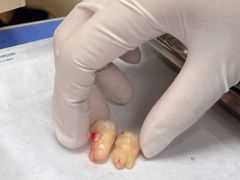 -瑞尔齿科(上海长风大悦城店)