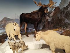 -陕西自然博物馆