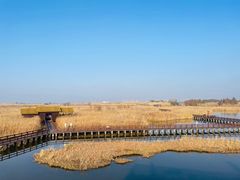 -宁波杭州湾国家湿地公园