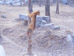 -济南野生动物世界