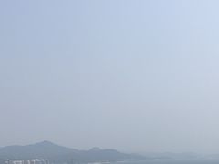 -广东惠东海龟国家级自然保护区