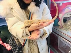 -藦茜花园宠物主题亲子互动体验馆(国顺东路店)