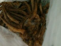 -水一方现烤鱿鱼丝大连特产(三八广场店)