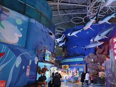 -烟台海昌鲸鲨海洋公园