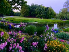 -上海共青森林公园