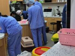 -联合动物医院(光谷诊疗中心)