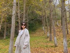 -千年银杏谷文化旅游区