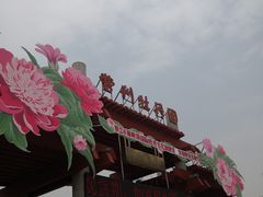-曹州牡丹园