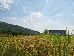 -艾米稻香小镇
