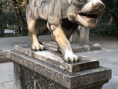 -灵谷景区